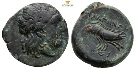 Mysia, Priapos Æ19. Circa 300-200 BC. Laureate head of Apollo right / ΠPIAΠHNΩN, shrimp right, arrow, below. BMC 3-5; SNG France 2401-2; 6,1 g, 21,3 m...
