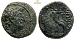 SELEUKID KINGS of SYRIA. Antiochos VIII Epiphanes (Grypos). 109-96 BC. Antioch mint. (9.3 g. 21,4 mm.)
Diademed head right
Rev. Filleted double cornuc...