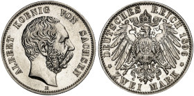 SACHSEN.  Albert, 1873-1902.  J. 124, EPA 2/48  