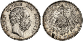 SACHSEN.  Albert, 1873-1902.  J. 124, EPA 2/48  