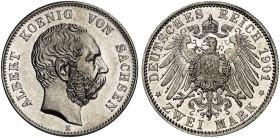 SACHSEN.  Albert, 1873-1902.  J. 124, EPA 2/48  