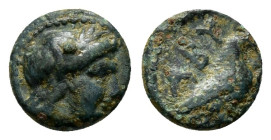 TROAS.Abydos.(400-335 BC).Ae.

Obv : Laureate head of Apollo right.

Rev : ABY.
Eagle standing right; to right, pellet above bow and arrow.
McCl...