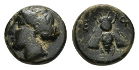 IONIA.Ephesos.(Circa 375-325 BC).Ae.

Condition : Good very fine.

Weight : 1.26 gr
Diameter : 10 mm
