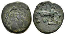 IONIA.Ephesos.(2nd-1st Century. BC).Ae.

Condition : Good very fine.

Weight : 5.13 gr
Diameter : 18 mm