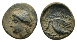 IONIA. Klazomenai.(Circa 380-360 BC). Ae.

Obv : Laureate head of Apollo left.

Rev : Swan standing left, with wings spread; uncertain magistrate's na...