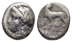 IONIA. Miletos.(Circa 259-246 BC). Drachm.

Condition : Good very fine.

Weight : 3.48 gr
Diameter : 13 mm