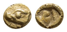 IONIA. Phokaia. (Circa 625/0-522 BC). EL 1/24 Stater.

Obv : Head of seal left.

Rev : Quadripartite incuse square.

Condition : Good very fine....