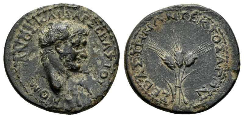 GALATIA. Ancyra. Domitian (Caesar, 69-81). Ae. 

Obv : AYTO ΔOMITIA KAIΣAP ΣEBAΣ...