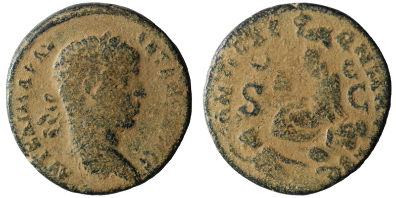 Elagabalus. (218-222 AD). Æ Bronze. Seleucis and Pieria. Antioch. Obv: laureate ...