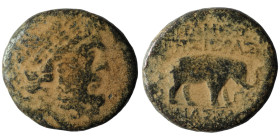 Seleucis and Pieria. Apameia on the Axios. (1. Century BC). artificial sandpatina. 21mm, 6,99g 