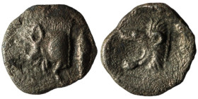 Mysia. Kyzikos. (450-400 BC) AR Obol. (8mm, 0,19g) Obv: forepart of wild boar left and fish. Rev: head of roaring lion left.