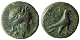 Troas. Abydos. (4th Century BC) Æ Bronze. (12mm, 1,44g) Obv: head of Apollo right. Rev: eagle seated right.