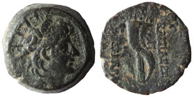 Seleucid Kingdom. Alexander II. Zabinas. (128-122 BC). Bronze Æ. (22mm, 7,44g) Antioch. 