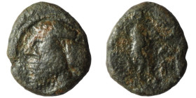 Indo-Parthians. Sanabares, Usurper. (50 AD) Æ Drachm. (17mm, 3,00g)