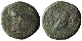 Laodicea ad Mare. (1st Century BC) Bronze Æ. (15mm, 2,23g) Obv: helmeted head of Athena right. Rev: owl seated right. RPC I 4419.