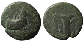 Aeolis. Kyme. (3. Century BC). Bronze Æ. (18mm, 3,57g) Obv: forepart of horse right. Rev: Oinochoe.