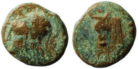 Mysia. Pergamon. (310-282 BC) Bronze Æ. (17mm, 3,60g) Obv: helmeted head of Athena left. Rev: forepart of bull left.