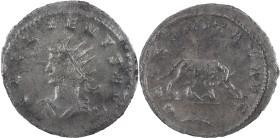 The Roman Empire
Gallienus. 253-268. AR Antoninianus 3.62 g. Antioch. GALLIENVS AVG.
Radiate head left. AETERNITAS AVG. Wolf standing right, suckling ...