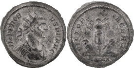 The Roman Empire
Probus AE Antoninianus 3.40 g. Rome mint, 280 AD. IMP PROBVS PF AVG, radiate and cuirassed bust right / VICTORIA GERM, trophy between...