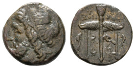 Antike Griechen
Sizilien Syrakus, Æ(5,92g), 275-215 v. Chr., Hieron II. Av: Poseidonkopf nach rechts. Rev: Dreizack zwischen zwei Delphinen. SNG ANS ...
