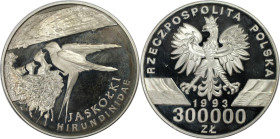 Europäische Münzen und Medaillen, Polen / Poland. Rauchschwalbe am Nest. 300000 Zlotych 1993. 31,16 g. 0.925 Silber. 0.93 OZ. KM Y# 248. Polierte Plat...