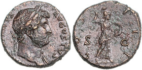 RÖMISCHES REICH, Hadrian, 117-138, AE As (125-127) Rom. Belorb. und drap. Büste r. Rs.Minerva mit Speer und Schild r. schreitend. 12,15g.
ss-vz
RIC²...