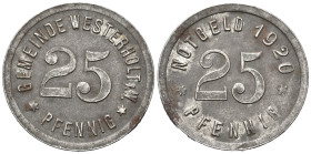 NOT UND TEUERUNG, WESTERHOLT, Stadt, 25 Pfennig 1920. 4,59g.
vz
Menzel 26656.2