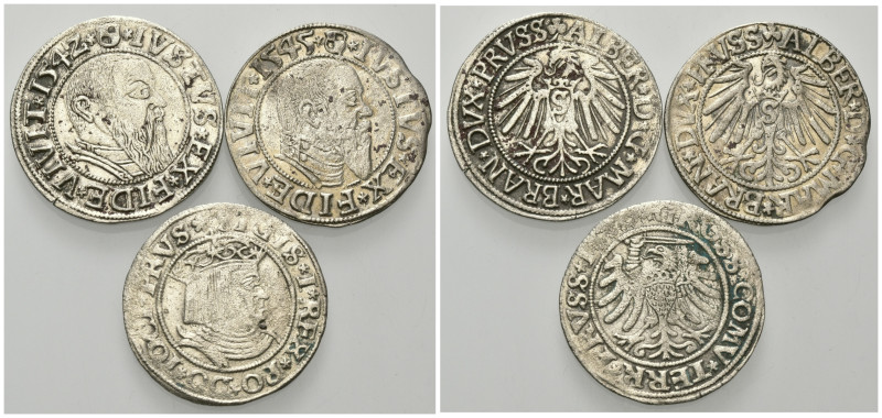 BRANDENBURG-PREUSSEN, Albrecht, 1525-1569, Groschen 1542, Königsberg. 1,93g.; Gr...