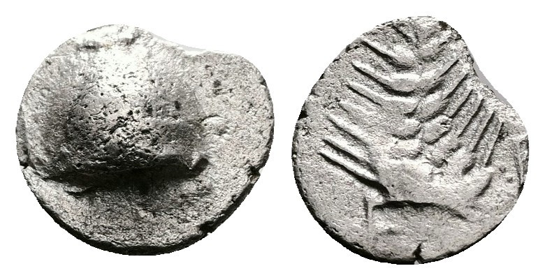 Boiotia, Orchomenos. Late 5th century-364 BC. AR Hemiobol (8,2mm,0.32 g.). Half ...