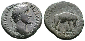 Antoninus Pius, AD 138-161 AE As. (26,7 mm. 10,2 g.). 148-149, Rome. ANTONINVS AVG PIVS P P TR P XII, laureate head right. Rev. MVNIFICENTIA AVG, cuir...