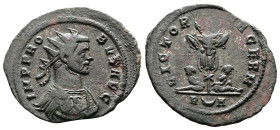Probus, AD 276-282. AE Antoninianus. (25,9mm. 3,2 g.). Rome. IMP PROBVS AVG, radiate, cuirassed bust right. Rev. VICTORIA GERM, trophy between two cap...