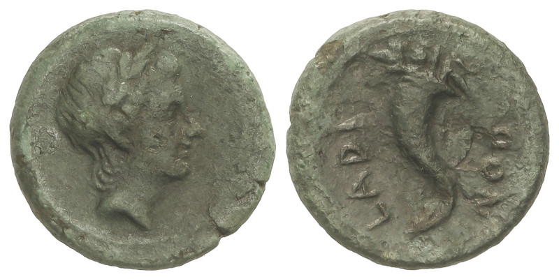 GREEK COINS
Uncia. 210-175, a.C. LARINUM. FRENTANI. Anv.: Cabeza masculina juve...