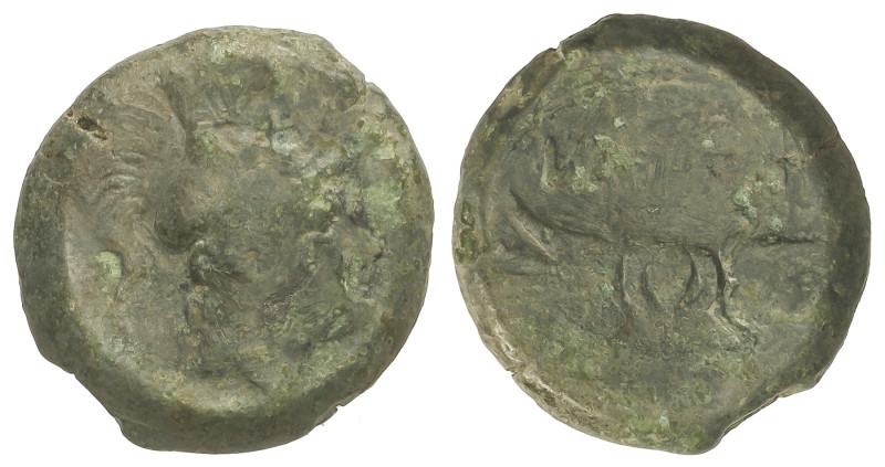 GREEK COINS
Litra. 212-208 a.C. LARINUM. FRENTANI. Anv.: Cabeza de Athenea con ...