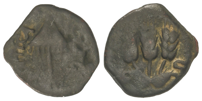 ROMAN COINS: ROMAN EMPIRE
Prutha. 37-44 d.C. AGRIPPA I. JUDEA. Anv.: Sombrilla ...