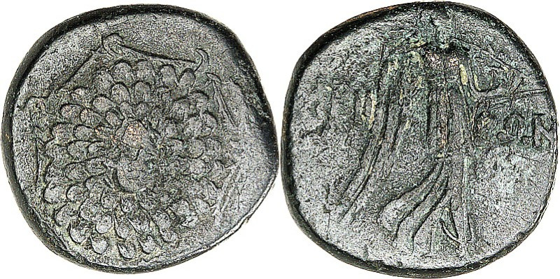 PONTOS. 
STÄDTE. 
KABEIRA. unter Mithridats VI. 110-65 v.Chr. AE-20mm 6,52g. Ä...