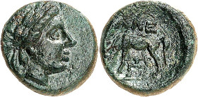 TROAS. 
STÄDTE. 
ALEXANDREIA (Eski Stambul). AE-Chalkus 10mm (281/261 v.Chr.) 1,30g. Apollonkopf n.r. / Pferd grast n.r.; oben ALE; unten Monogramm....