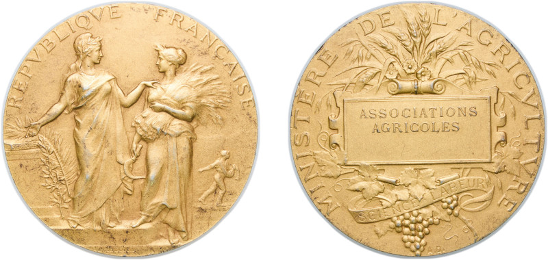 France Third Republic 19th-20th Century Medal - Ministère de l'Agriculture Gold ...