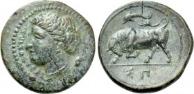 SICILY. Syracuse. Agathokles (317-289 BC). Ae.