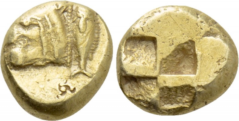 MYSIA. Kyzikos. EL Hekte (Circa 550-450 BC). 

Obv: Head of lion left; to righ...