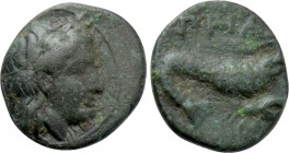 MYSIA. Priapos. Ae (4th-3rd centuries BC).