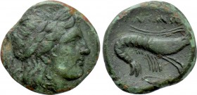 MYSIA. Priapos. Ae (Circa 1st century BC).