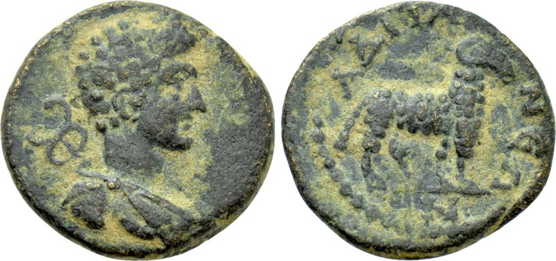 MYSIA. Hadrianea. Pseudo-autonomous. Time of the Antonines (138-192). Ae. 

Ob...