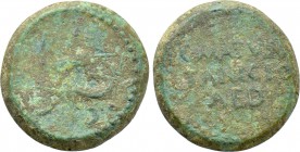 MYSIA. Parium. Julius Caesar (Circa 45 BC). Ae. C. Matuinus & T. Anicius, aediles.