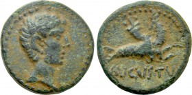 MYSIA. Parium. Augustus (27 BC-14 AD). Ae As.
