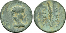 PHRYGIA. Hierapolis. Gaius (Caesar, 1 BC-4 AD). Papias Apellidou, magistrate. Struck under Augustus.