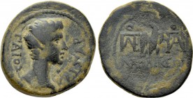 PHRYGIA. Laodicea ad Lycum. Caius (Caesar, 20 BC-4 AD). Ae. Antonius Polemon, magistrate.