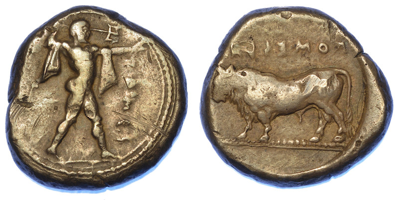 LUCANIA - POSEIDONIA.

Nomos, 480-400 a.C.

Poseidone in piedi a d., barbuto...