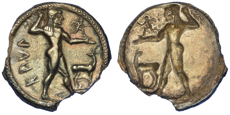 BRUTTIUM - CAULONIA.

Nomos, 550-480 a.C.

Apollo Catharsio avanza verso d. ...