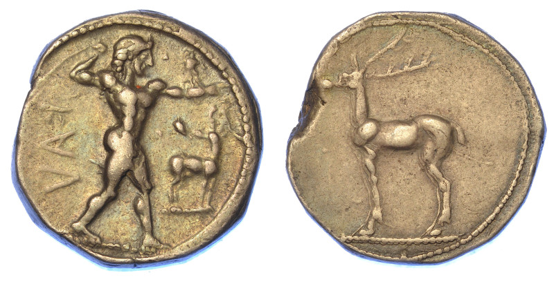 BRUTTIUM - CAULONIA.

Nomos, 480-388 a.C.

Apollo Catharsio avanza verso d. ...