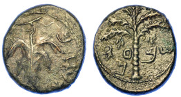 GIUDEA. SECONDA RIVOLTA - GUERRA BAR-KOKHBA, 132-135. Bronzo medio.